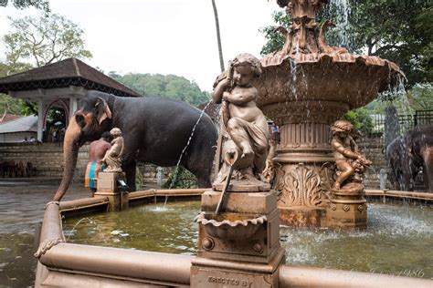 Mimure Central Province Sri Lanka Around Guides