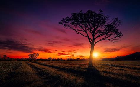 Country Sunset Wallpapers Wallpaper Cave