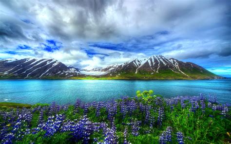 3,027,636 matches including pictures of summer and spring. Nature Beautiful Hd Wallpaper Mountain Lake Flowers Sky ...