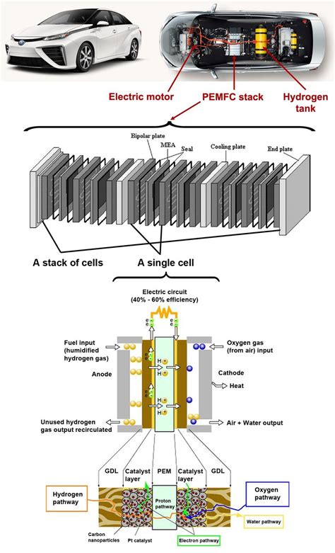 An Illustration Of The Pem Fuel Cell Stack A Single Cell And The