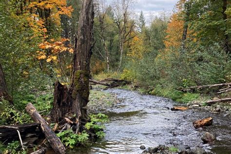 Netmap Pilot Project Tualatin River Watershed Council