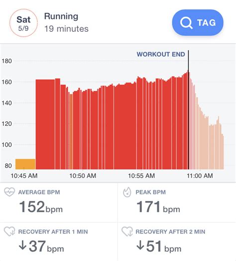 How To Calculate Heart Rate For Liss Haiper