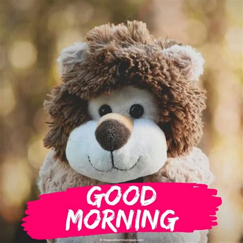 120 Sweet Good Morning Teddy Bear Images A To Z