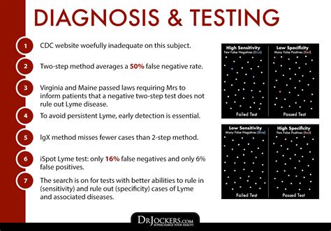 Select the lyme disease symptoms and conditions that apply for you or your child. Natural Strategies to Overcome Lyme Disease - DrJockers.com
