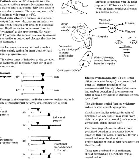Investigations Of The Central And Peripheral Nervous Systems Neupsy Key