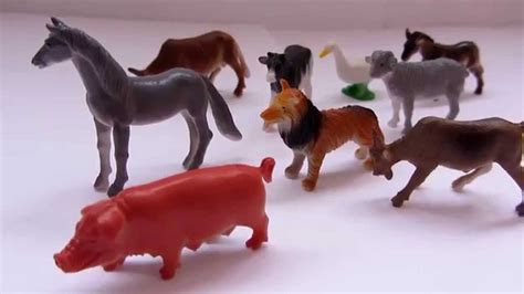 Pets Toys Horse Cow Pig Goat Dog Sheep Duck Youtube