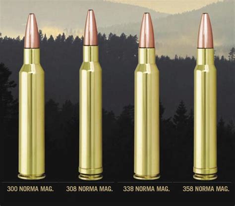 Ammo And Weapons Municija I OruŽje 308 Norma Magnum 762 X 65mm