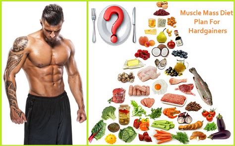 Muscle Mass Diet Plan For Hardgainers What To Eat And When To Eat It