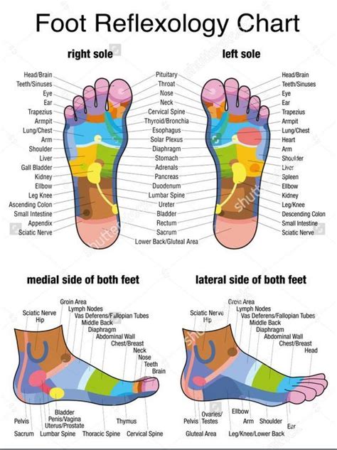 Health Benefits Reflexology Foot Chart Reflexology Chart Reflexology
