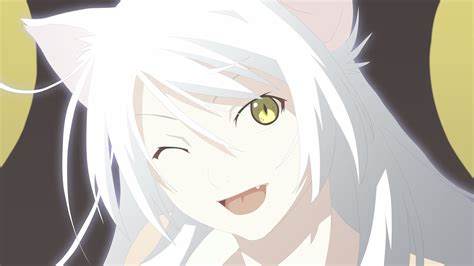 Hanekawa Tsubasa Monogatari Series Cat Anime Girls Anime Sawarineko Wallpapers Hd Desktop