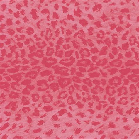 46 Pink Cheetah Print Wallpaper Border On Wallpapersafari