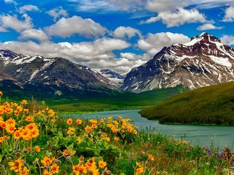 Best night nature scenery hd wallpapers. Spring Landscape Wild Flowers Yellow Color Lake Mountains ...