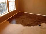Images of Cement Floor Finishes Diy