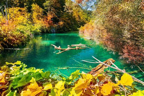 15 Places Around The World To See Gorgeous Fall Foliage Fodors Travel