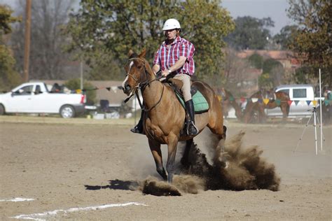 [gallery] The Fourth Qualifier For Western Mounted Games Held At Ermelo
