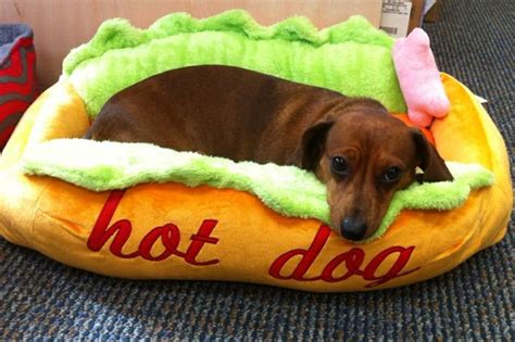 Low Moq Cheap Plush Soft Stuffed Hot Dog Design Pet Bed Fashion Custom