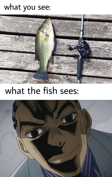 41 Hilarious Fishing Memes Anglers Can Get A Kick Out Of Inspirationfeed