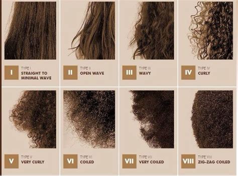 Is Hair Type Important To Understand Natural Hair Lets Find Out