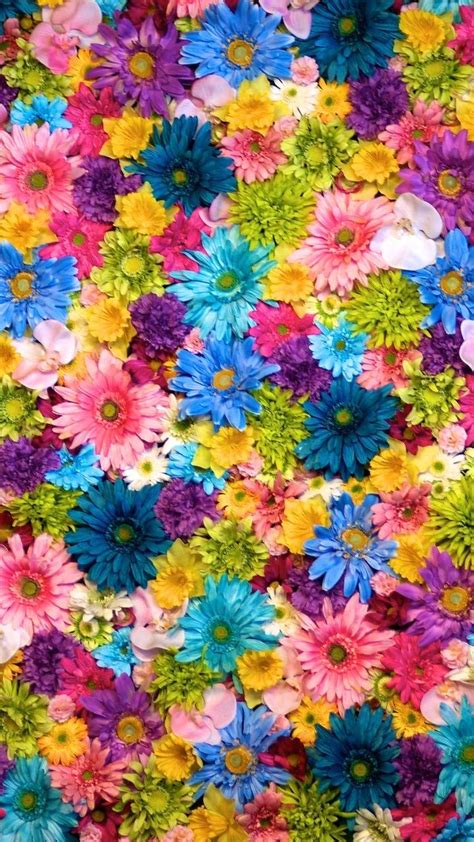 Bright Floral Wallpapers Top Free Bright Floral Backgrounds