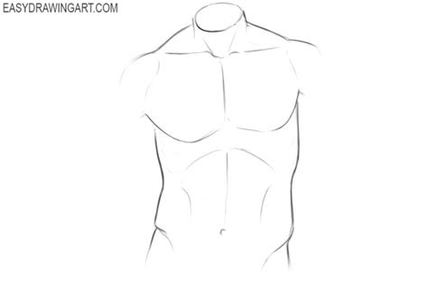 How To Draw A Torso Easy Drawing Art