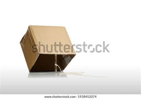 Cardboard Box Stick Trap Isolated On Stock Photo Edit Now 1938452074