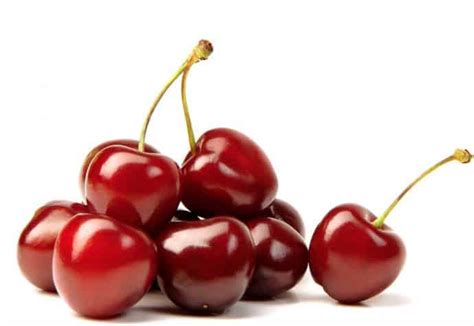 Can Dogs Eat Cherries 5 Health Benefits And Side Effects
