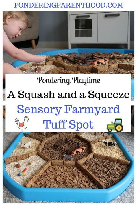 A Squash And A Squeeze Farmyard Sensory Tuff Spot Pondering Playtime