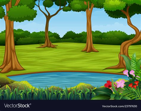 Forest Scene With Many Trees And Small Pond Vector Image