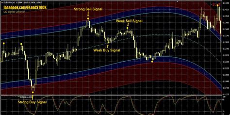Forex Best Indicator Fast Scalping Forex Hedge Fund