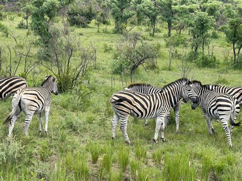 Vanuit Johannesburg 3 Daagse Kruger National Park Big 5 Safari