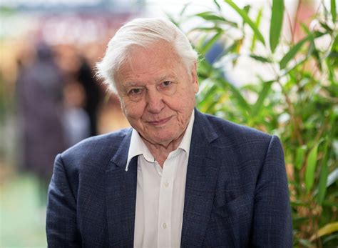 Sir David Attenborough And His Soothing Voice Are Heading To Netflix