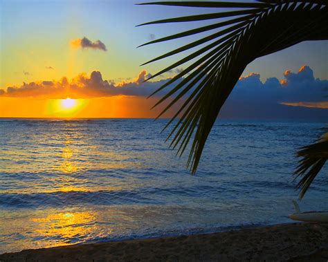 44 Hawaii Desktop Wallpaper Beach Pictures On