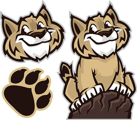 Wildcat Clip Art Vector Images And Illustrations Istock