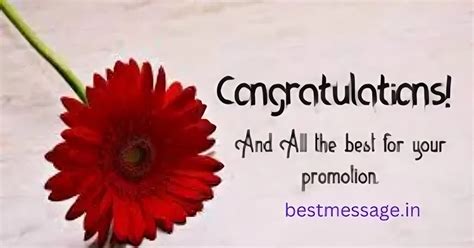Congratulation Messages For Achievement Best Message