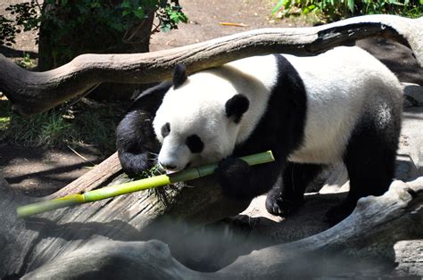 Seeing Yun Zi Made Me Smile As For Yun Zi Its Always All About The
