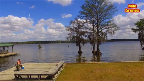 Fishermen will find a variety of fish including redear sunfish, channel catfish, crappie, flathead catfish, redbreast sunfish and bluegill here. Lake Blackshear in Georgia (Drone footage) - YouTube