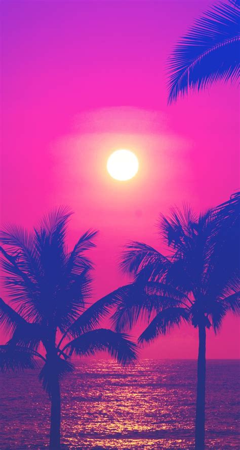 Hot Pink Blue Sunset Palms Sea Ocean Iphone Wallpaper Phone Background