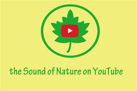 Get The Sound Of Nature On Youtube From These 7 Channels Minitool