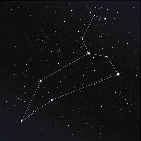 The boundary of the leo constellation contains 19 stars. Leo Constellation Illustrations, Royalty-Free Vector ...