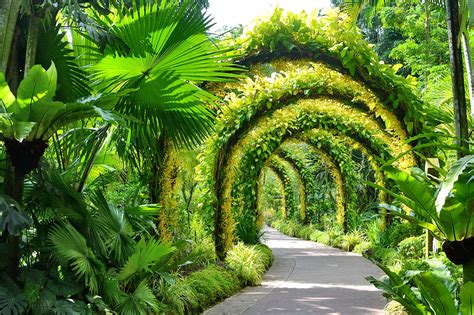 National Orchid Garden In Singapore Singapore Attractions Go Guides