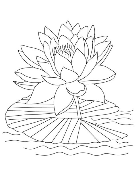 Lotus Flower Coloring Pages Coloring Home