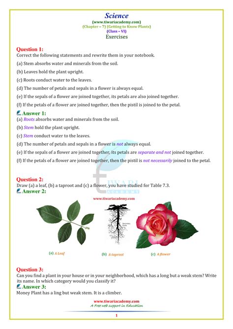Ncert Solutions For Class 6 Science Chapter 7 Getting To Know Plants