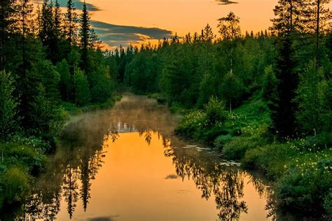 Naturfotografer Sverige Vackra Naturbilder Att Köpa Gallerier Och