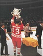 Boris Mikhailov (ice hockey) ~ Complete Wiki & Biography with Photos ...