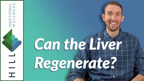 Can The Liver Regenerate Or Repair Itself Youtube