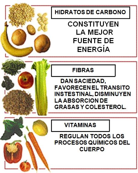 Principales Nutrientes Del Cuerpo Humano