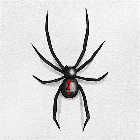 Black Widow Spider Drawing Helloartsy