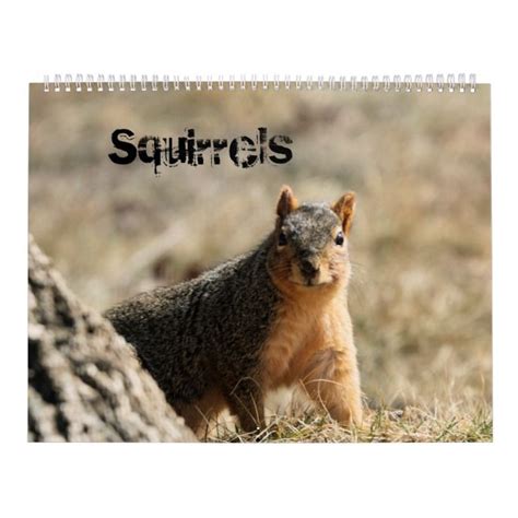 Squirrels Calendar Squirrel Moleskine Notebook