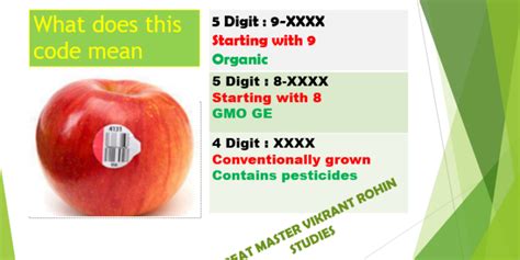 Number On Fruits Great Master Vikrant Rohin Studies