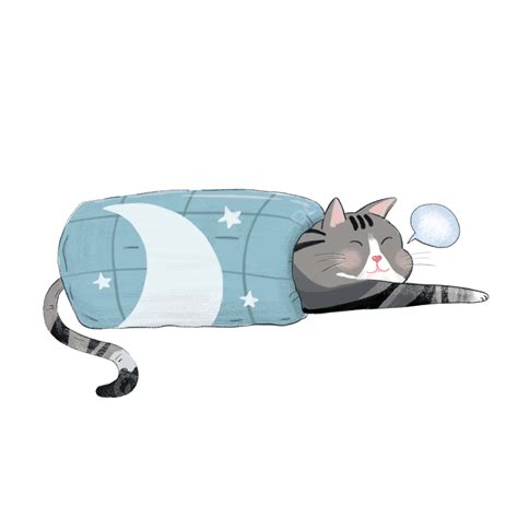 Sleep Bed White Transparent Cartoon Cute Beautiful Short Cat Quilt